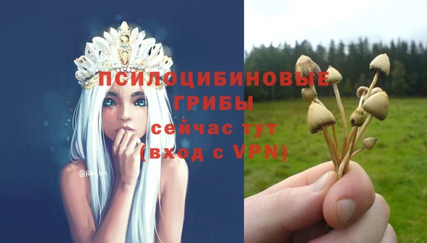 крисы Медногорск