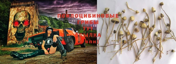 крисы Медногорск