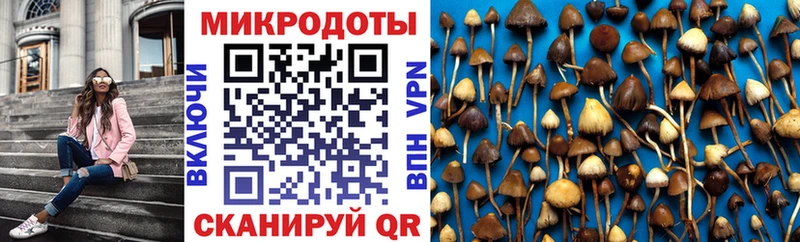 Галлюциногенные грибы прущие грибы  цена   Снежногорск 