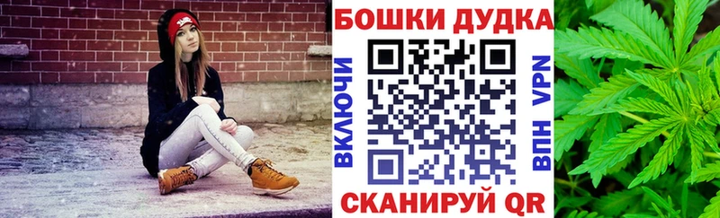 купить наркотик  Снежногорск  Канабис план 